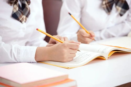 教育部嚴正聲明 警惕虛假信息咨詢，謹防上當受騙