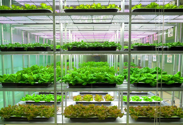 聚云位智攜手農業大學共建實驗室，智慧農業邁入新階段