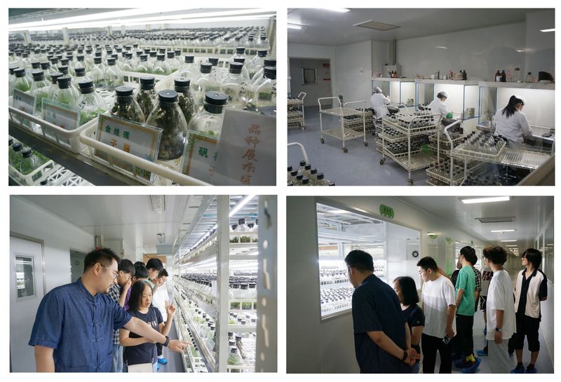 紅旅拓溫控新材，綠能護沃野生機——化學與環境工程學院赴南陵大浦現代農業試驗區開展“青年紅色筑夢之旅”活動紀實