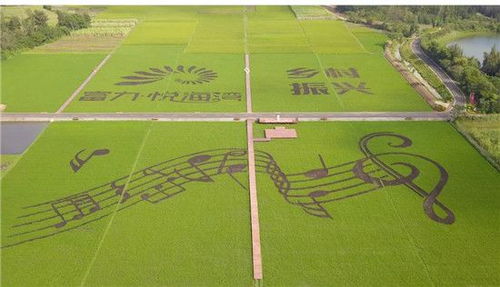 優質特種稻產業振興示范園簽約揭牌儀式圓滿舉行