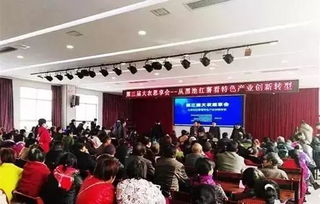 權(quán)威專家解讀 紅薯生產(chǎn)種植的關(guān)鍵要點(diǎn)與科學(xué)管理